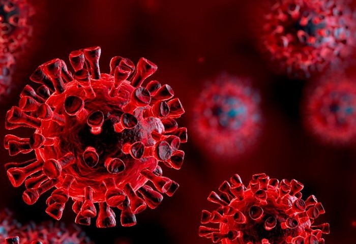 Korona Virüs salgını